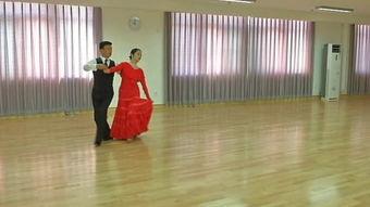 白桦林成人舞蹈视频,优雅与力量的完美融合