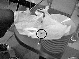 成人咋不打虫子了呀视频