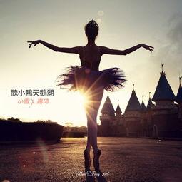 成人舞踏山河教学视频,成人舞蹈教学视频精华解析